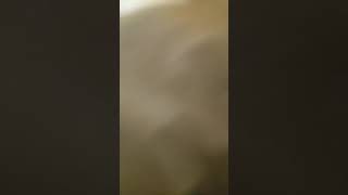 How Yo Make Your Counsing
