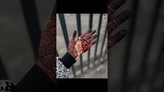 Teej Mehndi Design