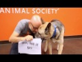 Moby - Almost Home (Best Friends Animal Society Lyric Video) (with Damien Jurado)