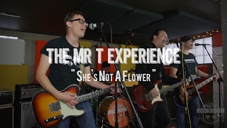 Watch Mr T Experience Shes Not A Flower video