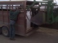 Cold Start the John Deere 4230 and unloading another tote