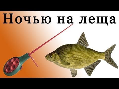 форум о рыбалке на леща форум о рыбалке на леща