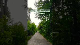 This Is My Opinion On Imitation And Following, But Im Interested In Your Opinion.
