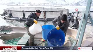 Burası Antartika Değil, Tercan Baraj Gölü