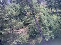 Muree Tour 74