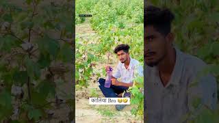 Bagdi Block Comedy Videobagdi Vlogger Comedy Video