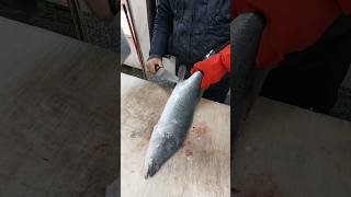 Barramundi Fish Cutting How To Clean Barramundi