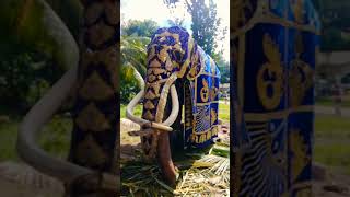 Katharagama Wasana In Batapola