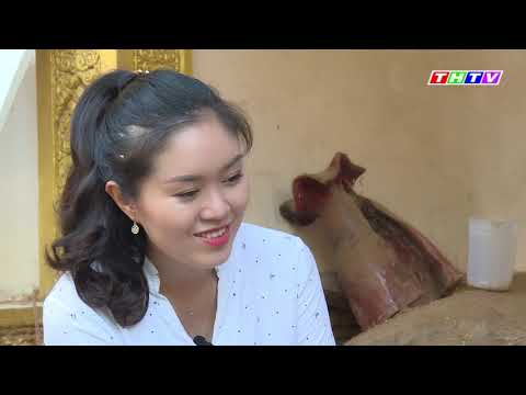 Chùa Hang - Ngôi chùa có kiến trúc độc đáo ở Trà Vinh