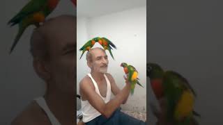 Omg . Parrots Attack On Nana