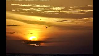 Watch Celtic Thunder A Bird Without Wings video