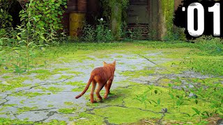 Play this video STRAY - Part 1 - A New Cat Adventure