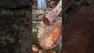 Deep Red Fatwood