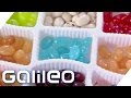 Das Geheimnis der Jelly Beans | Galileo Lunch Break