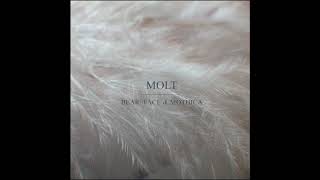 Mothica & Bearface - Molt (Official Audio)