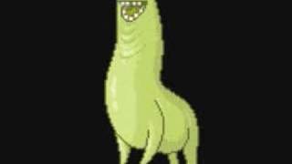 BUNCHIE!!!!!!!!!!!!!!!!!!!!!!LOL XD