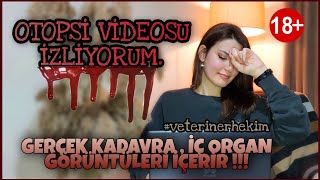 GERÇEK OTOPSİ VİDEOSU İZLİYORUM | Kadavra , İç Organ Görüntüleri İçerir! Veterin