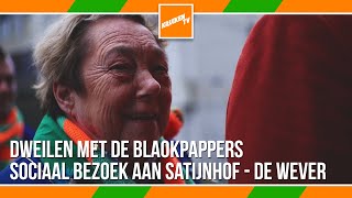 Blaokpappers op sociaal bezoek bij Satijnhof - De Wever - KruikenTv