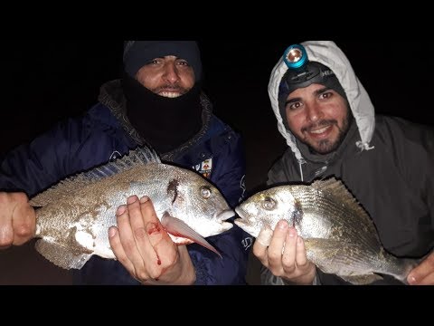 Pesca surfcasting | El Prat de Llobregat #4