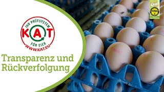 Transparente Hühnerhaltung dank KAT: Das System zur Rückverfolgung von Eiern