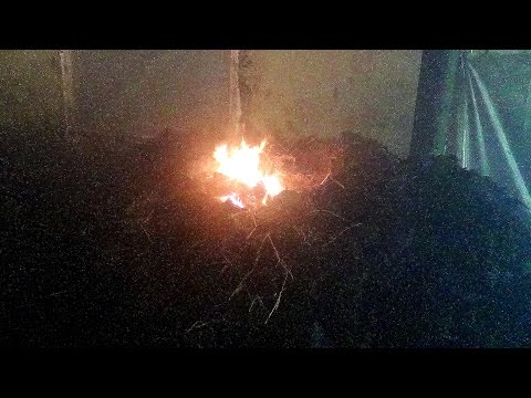 Удобрение для огурцов из навоза Удобрение для огурцов из навоза