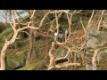 Enduro Chronicles - Hell's Gate - Episode 3
