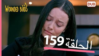 الطيور الجريحة | الحلقة الكاملة 159 |  مدبلج عربي