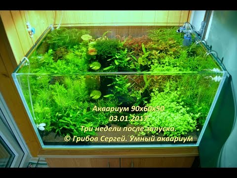 На конкурс Умный Аквариум на tubethe.com