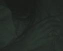 Dirt Empire W/ Nils Petter Molvaer Video preview