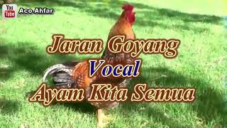 Vlog kucing dj ayam nyanyi jaran goyang