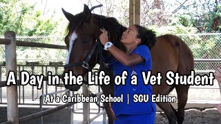 A Day In The Life Of A Vet Student In 9 Minutes St. Georges University