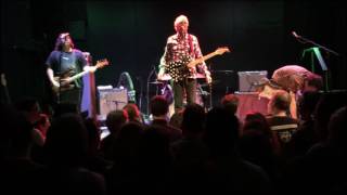 Watch Robyn Hitchcock Let There Be More Darkness video