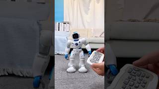 This Ruko 1088 Robot Is Agile, Intelligent, And Fun