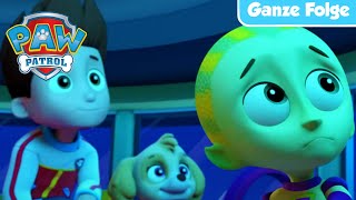 Die Fellfreunde Retten Einen Außerirdischen - Ganze Folge - Paw Patrol Germany -Cartoons Für Kinder