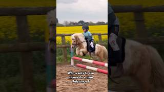 Mouse Doing A Mini Puissance?