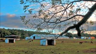 Watch Nanci Griffith Trouble In The Fields video