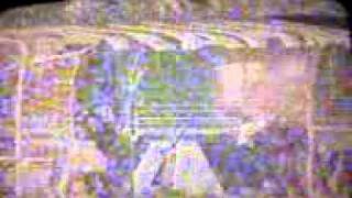 qwQp_MHorUU Video Image