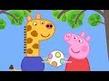 Download Peppa Pig English Episodes in 4K | Gerald Giraffe! #PeppaPig Peppa Pig English Episodes in 4K | Gerald Giraffe! #PeppaPig
