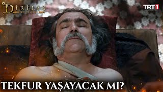Tekfur Yaşayacak Mı? 74. Bölüm Trt1