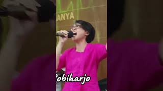Ps. Vivie Robiharjo