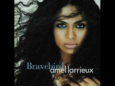 Bravebird - Amel Larrieux