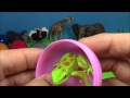 Wild Animals Zoo Surprise Eggs! Dinosaur, Rhinoceros,ect  Huevos Sorpresa!공룡,ไดโนเสาร์,,டைனோசர்