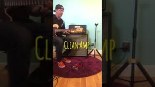Foppstar Amps - The Gentleman #3 (Two Channels From a Single Distortion Pedal)