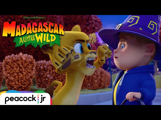 madagascar discovery kids play madagascar discovery kids play