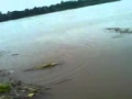 Setrike-Mancing ikan rengkik 6kg-di sungai brantas