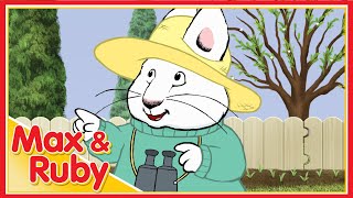 Max & Ruby: Max & Ruby’s Groundhog Day / Ruby’s First Robin of Spring / Grandma’s Geraniums - Ep. 64