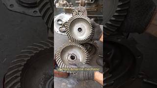 Gear And Lower Gear Gl23