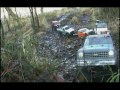 Scale crawl and mudding, or, Why all the big leaves?