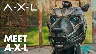 Axl Meet A-X-L Exclusive Open Road Films