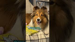 Lifetime Ban From The Zoo??? E584-2